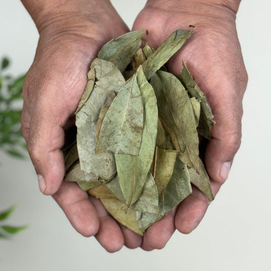 Soursop Leaves